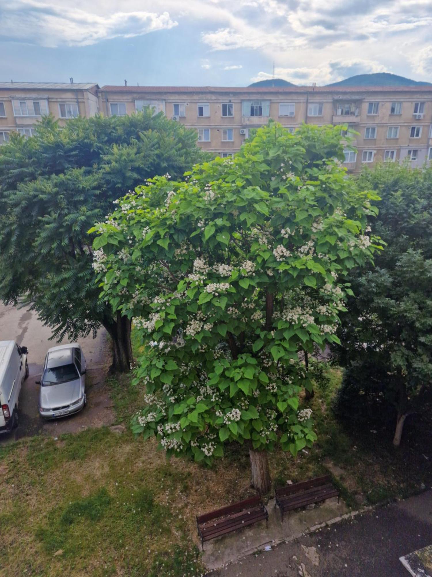 Apartamento Apartament Central Deva Exterior foto